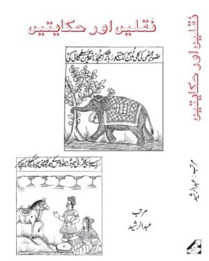 Naqlen aur Hikayaten